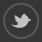 Follow MARIO on Twitter